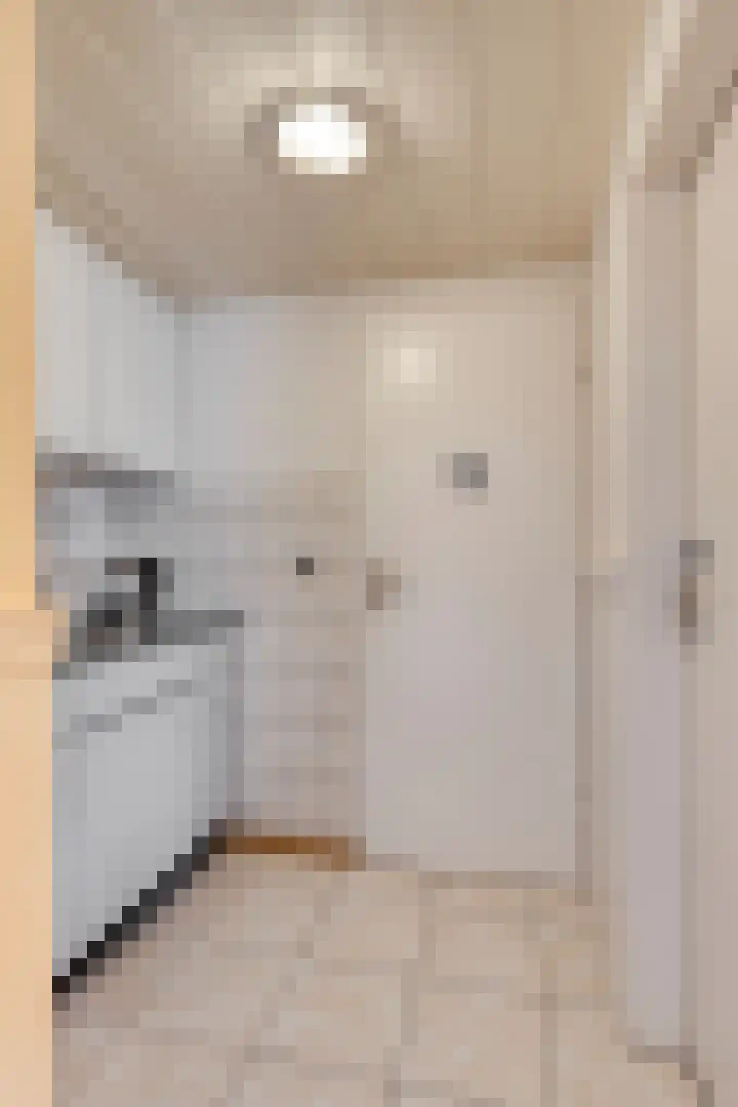 Emmastraat 20 De Lier thumbnail 11