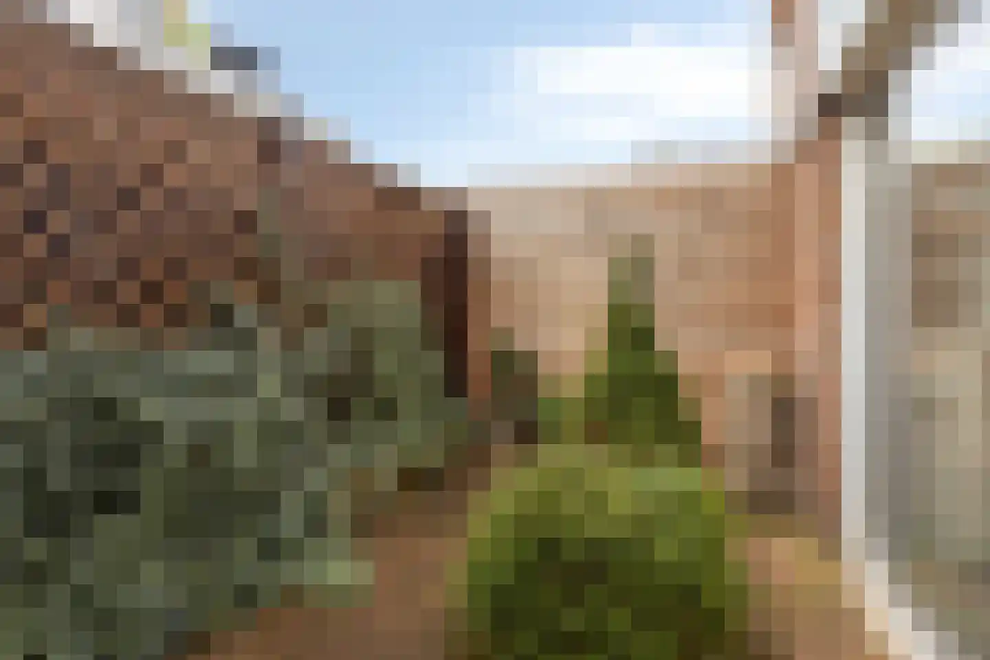 Emmastraat 20 De Lier thumbnail 15