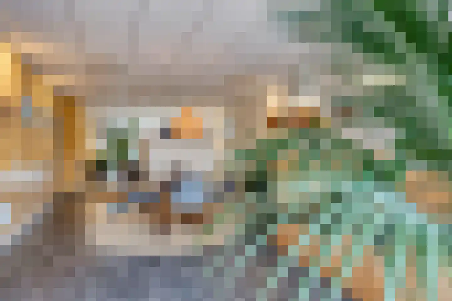 Emmastraat 20 De Lier thumbnail 4
