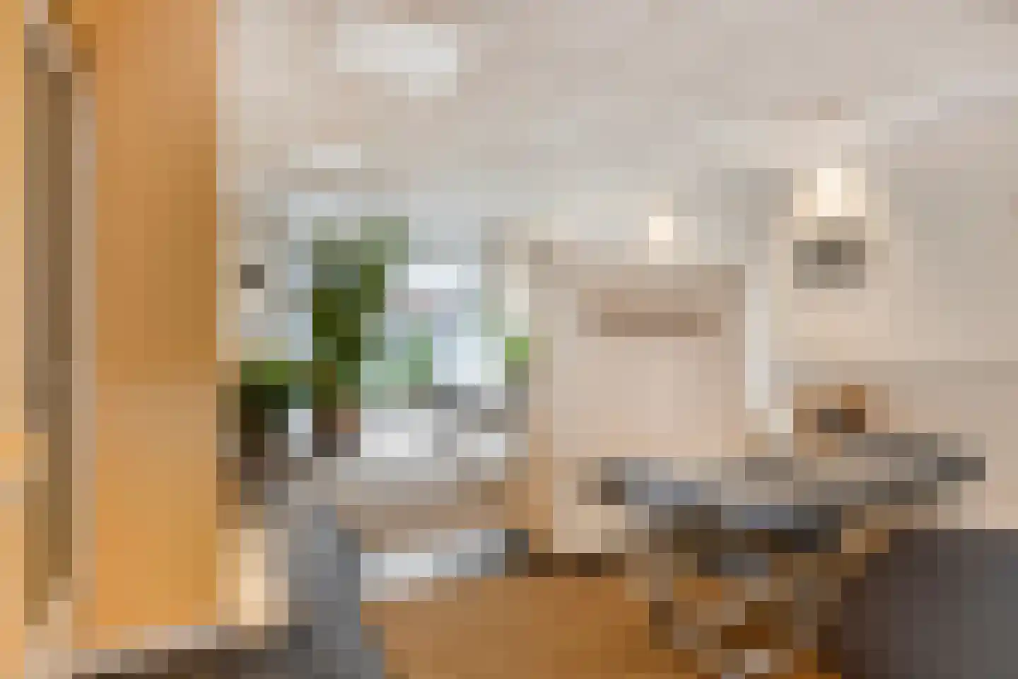Emmastraat 20 De Lier thumbnail 6