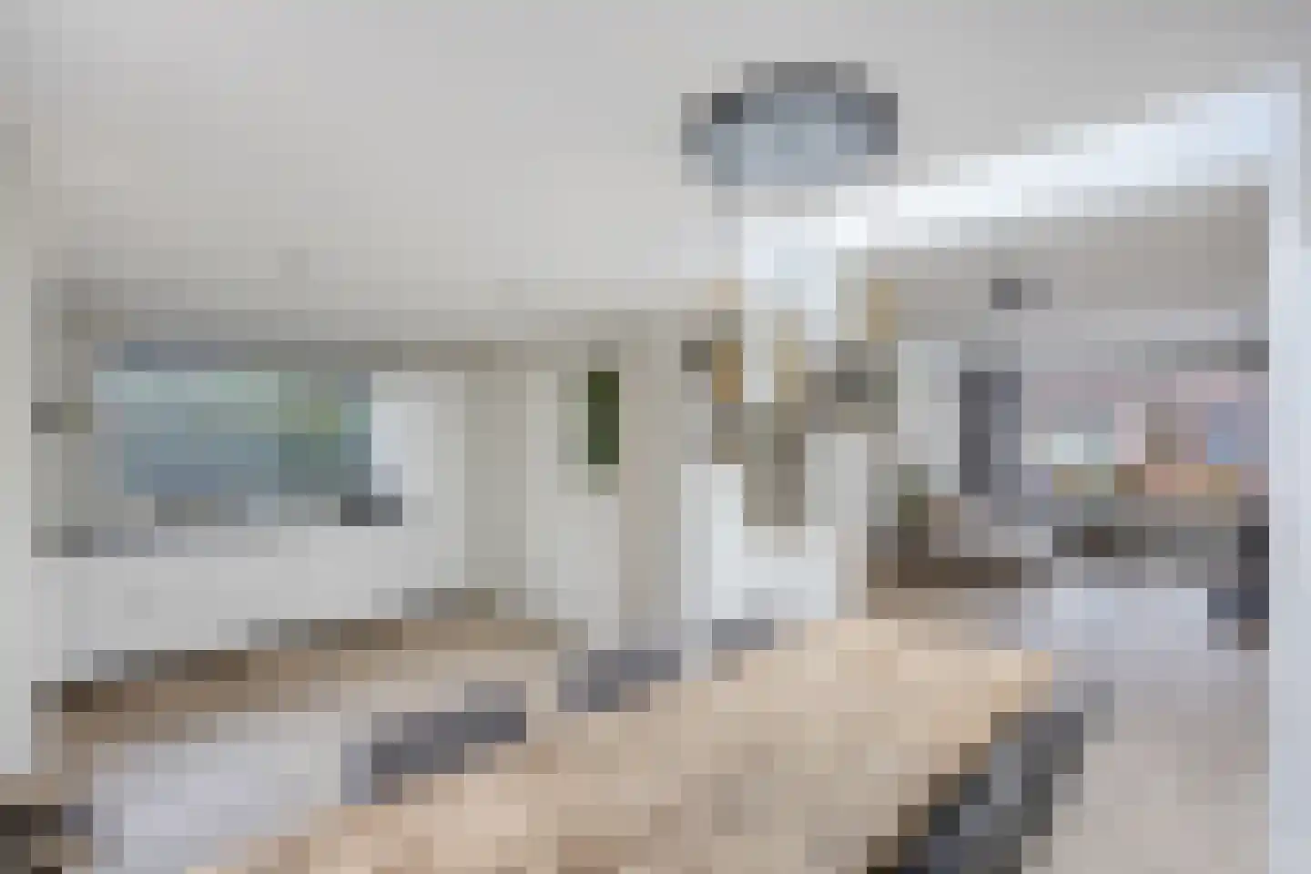 Emmastraat 20 Waalre thumbnail 12