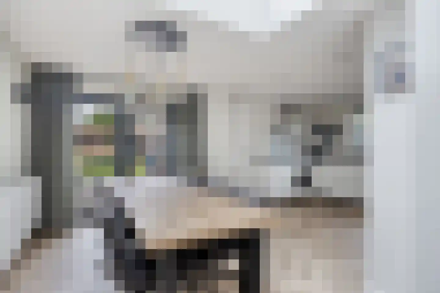 Emmastraat 20 Waalre thumbnail 18