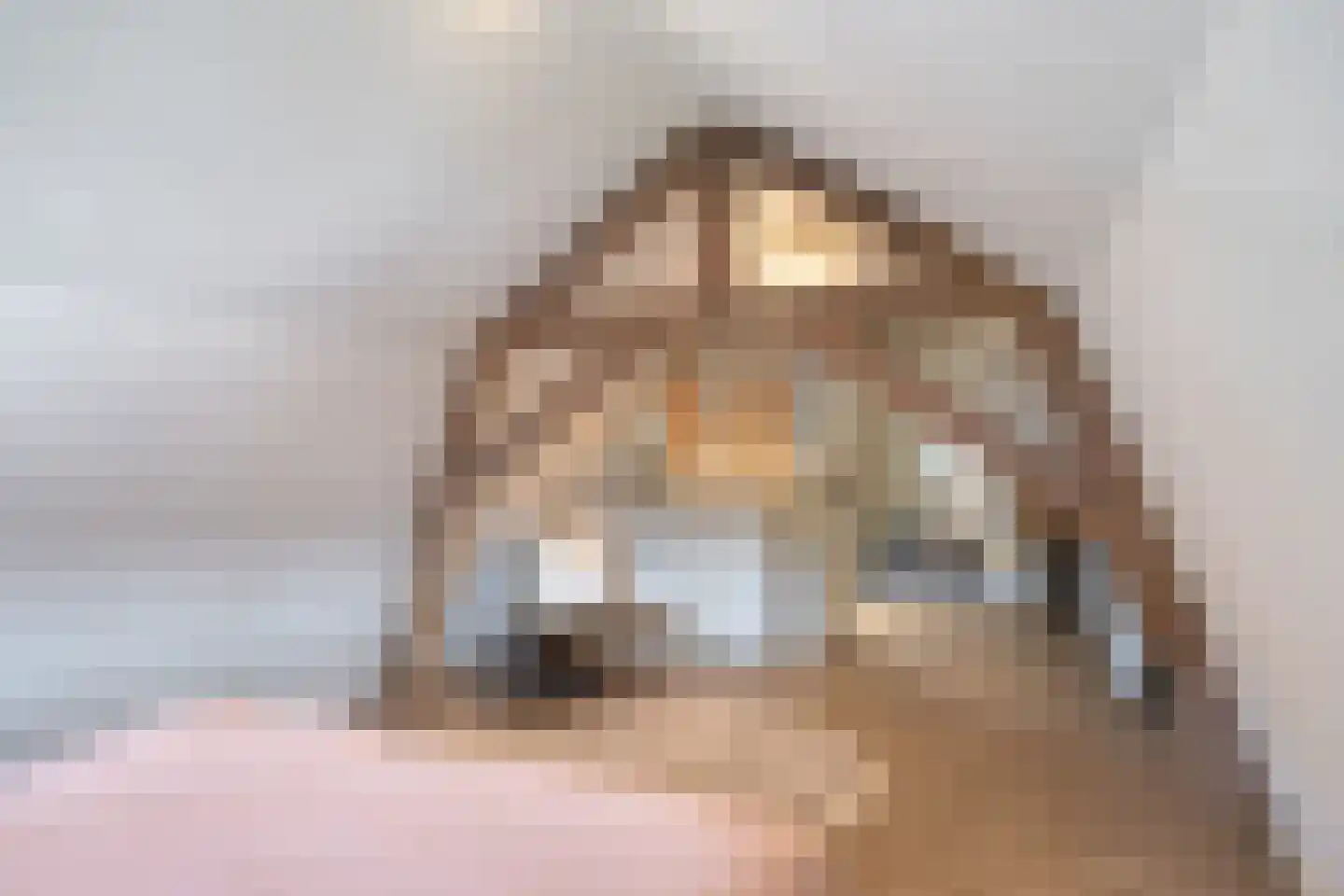 Emmastraat 20 Waalre thumbnail 35