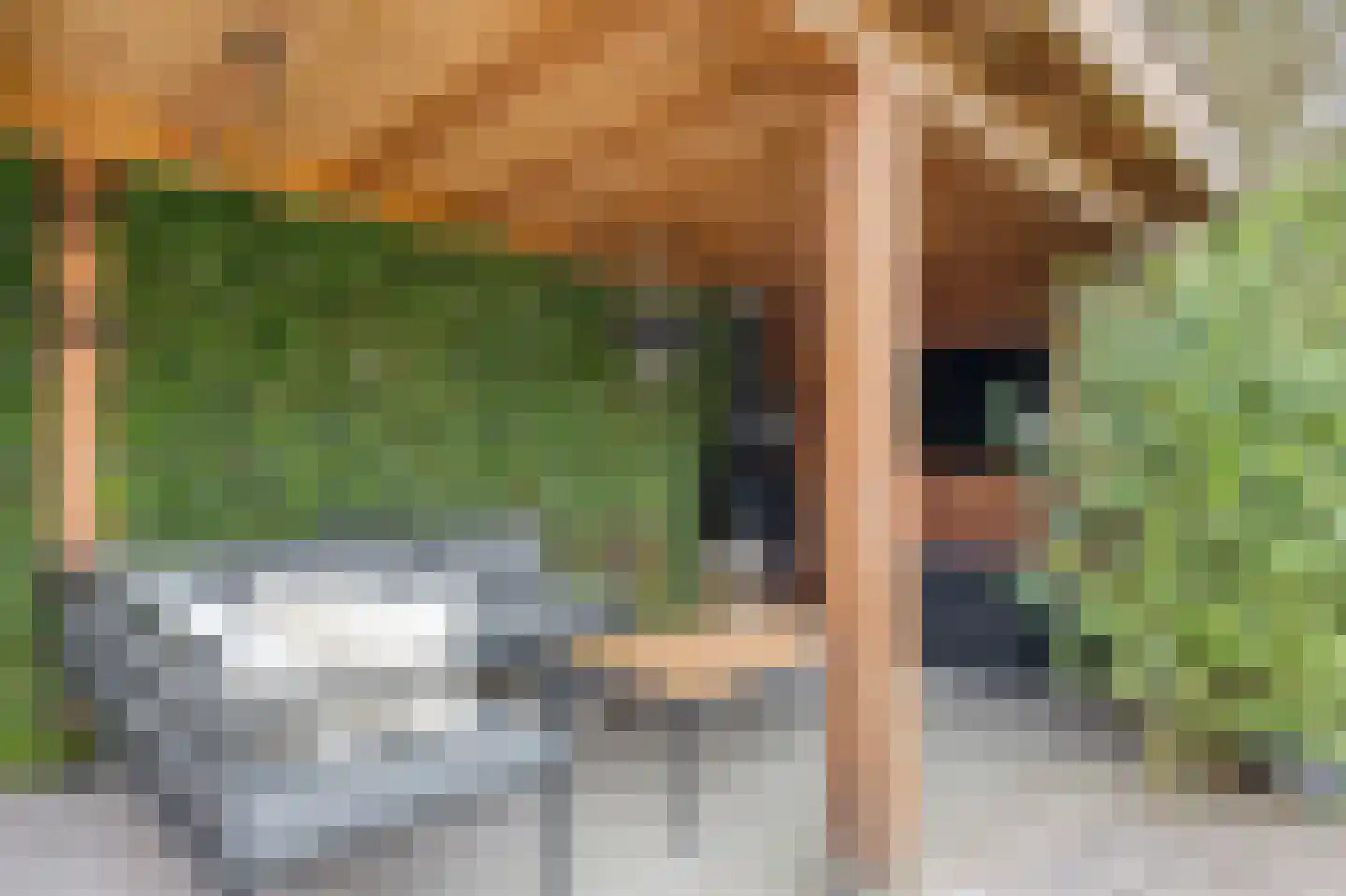 Emmastraat 20 Waalre thumbnail 46