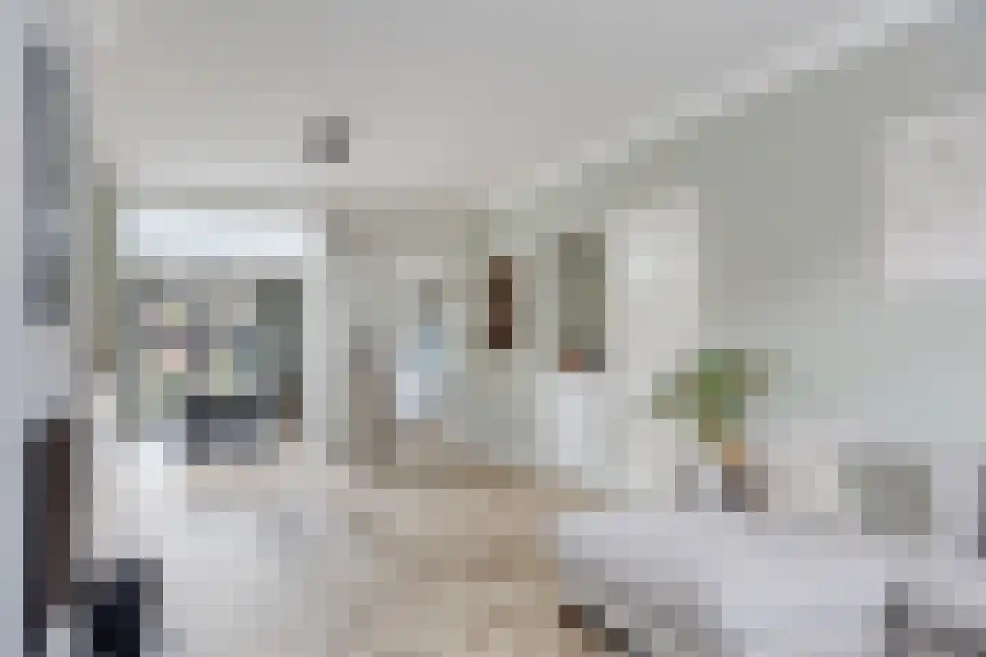 Emmastraat 20 Waalre thumbnail 8