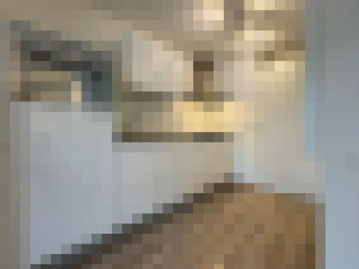 Emmastraat 21 Breda thumbnail 5