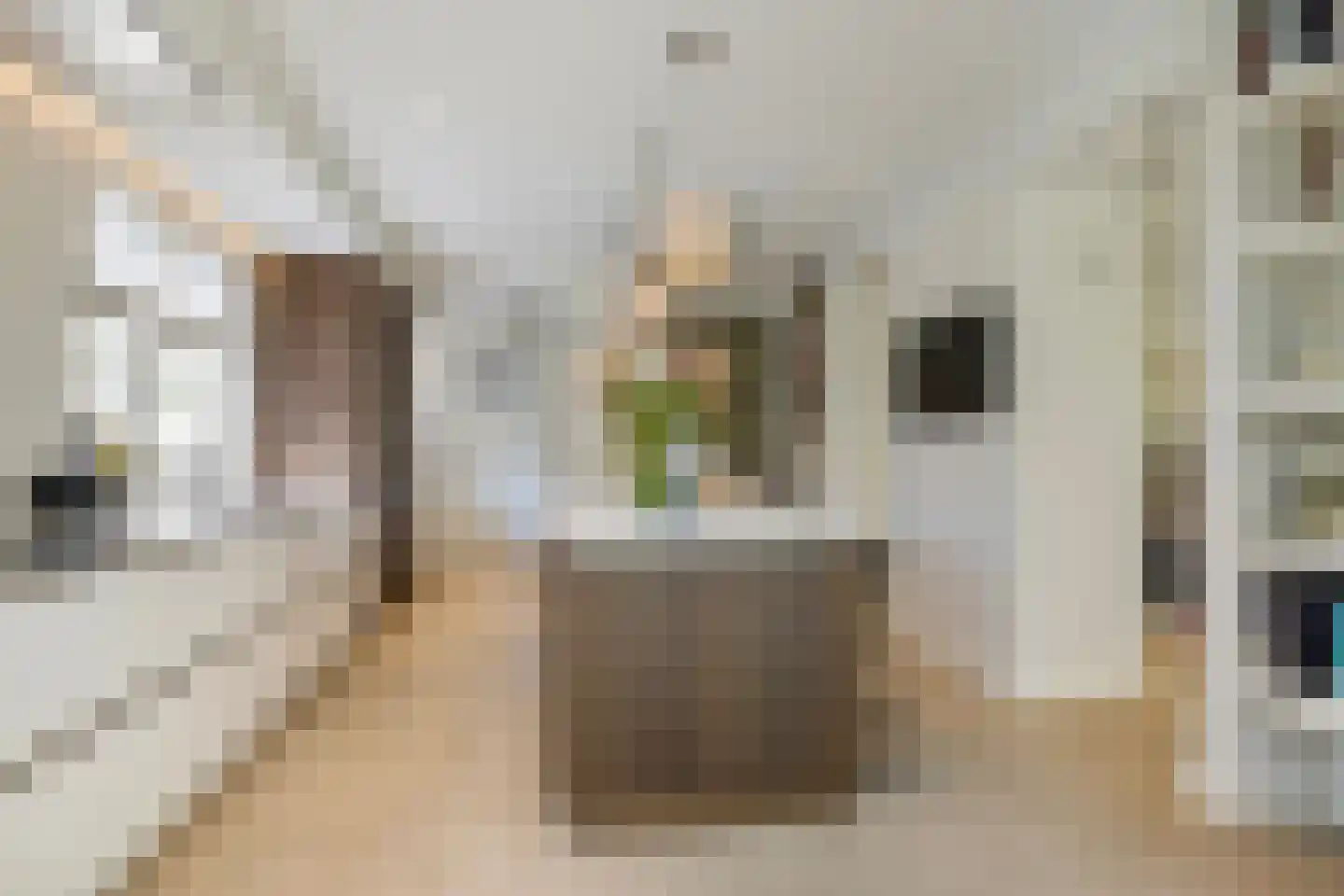 Emmastraat 21 Helmond thumbnail 23