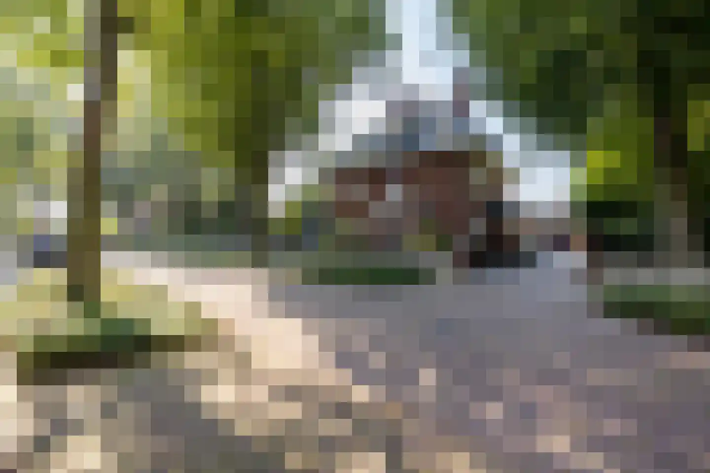 Emmastraat 21 Helmond thumbnail 62