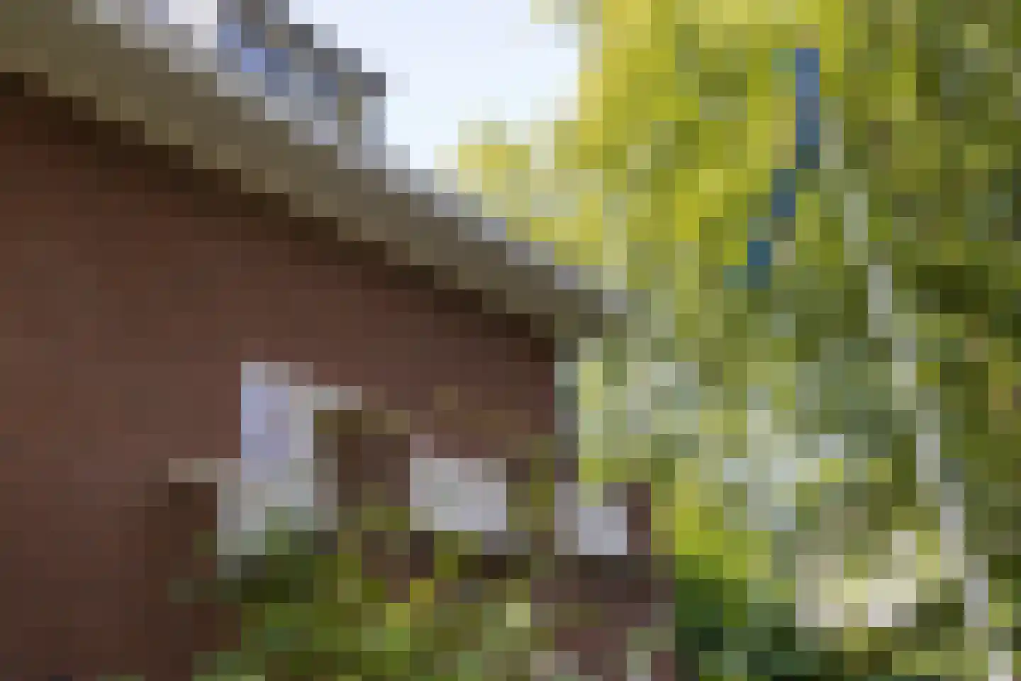 Emmastraat 21 Helmond thumbnail 63
