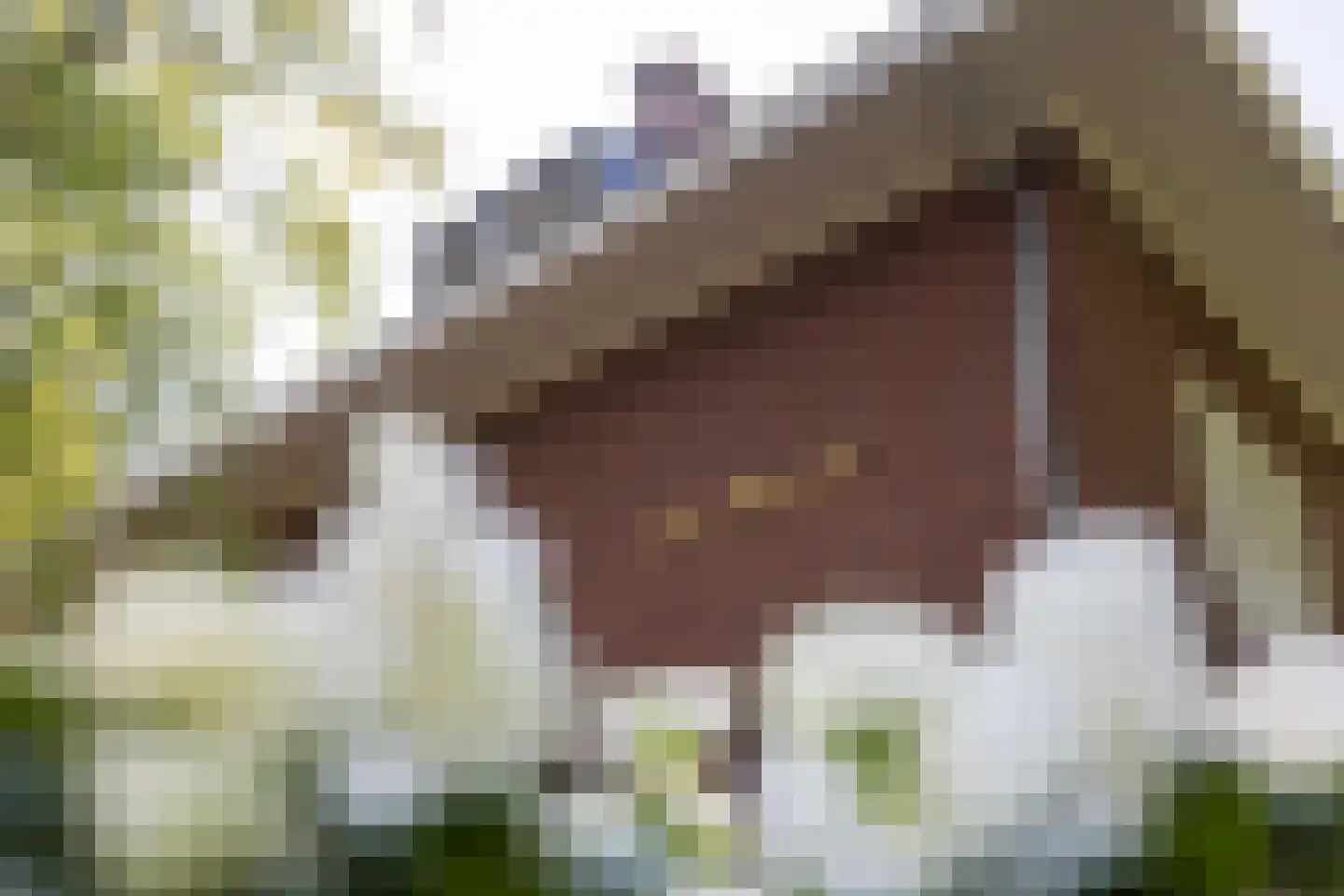 Emmastraat 21 Helmond thumbnail 7