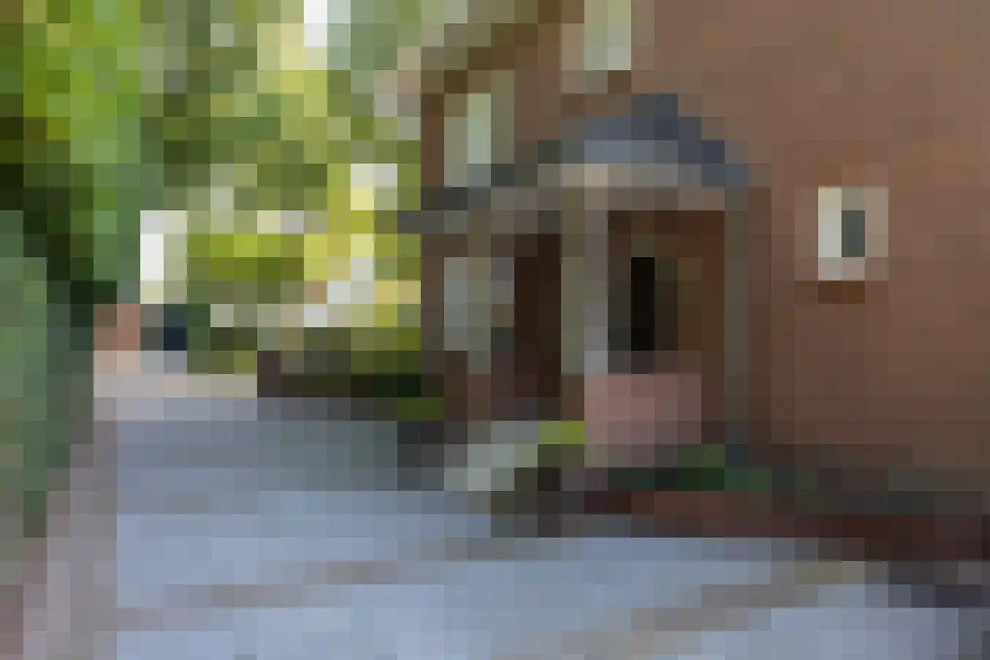Emmastraat 21 Helmond thumbnail 8