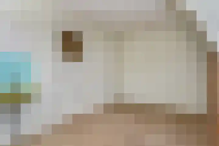 Emmastraat 21 Voorburg thumbnail 38