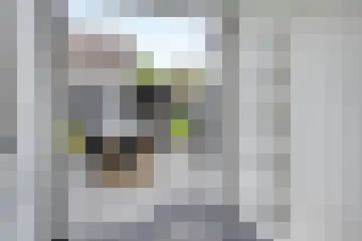 Emmastraat 23 Yerseke thumbnail 10