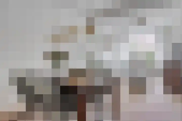 Emmastraat 23 Yerseke thumbnail 4