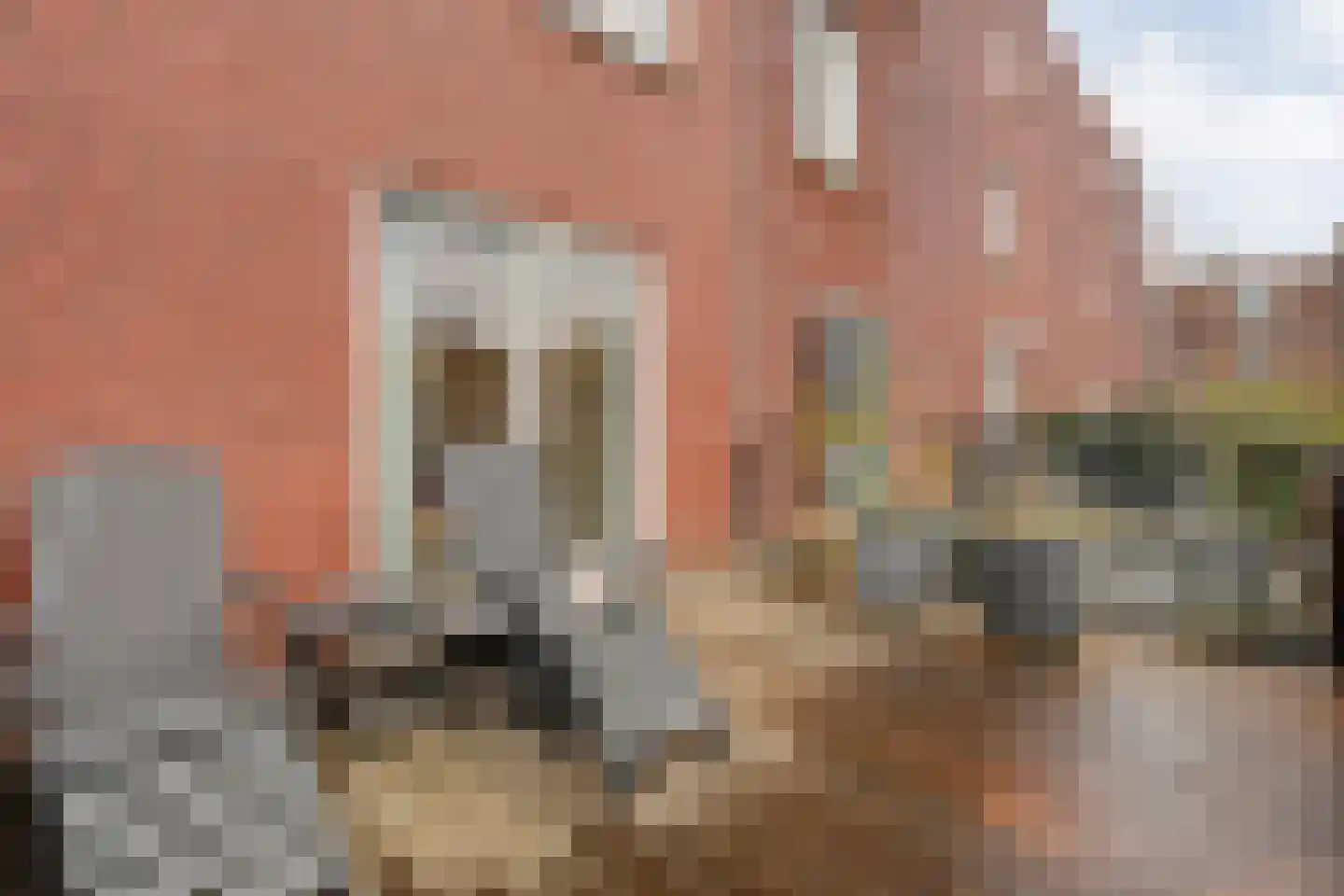 Emmastraat 23 Zwolle thumbnail 24