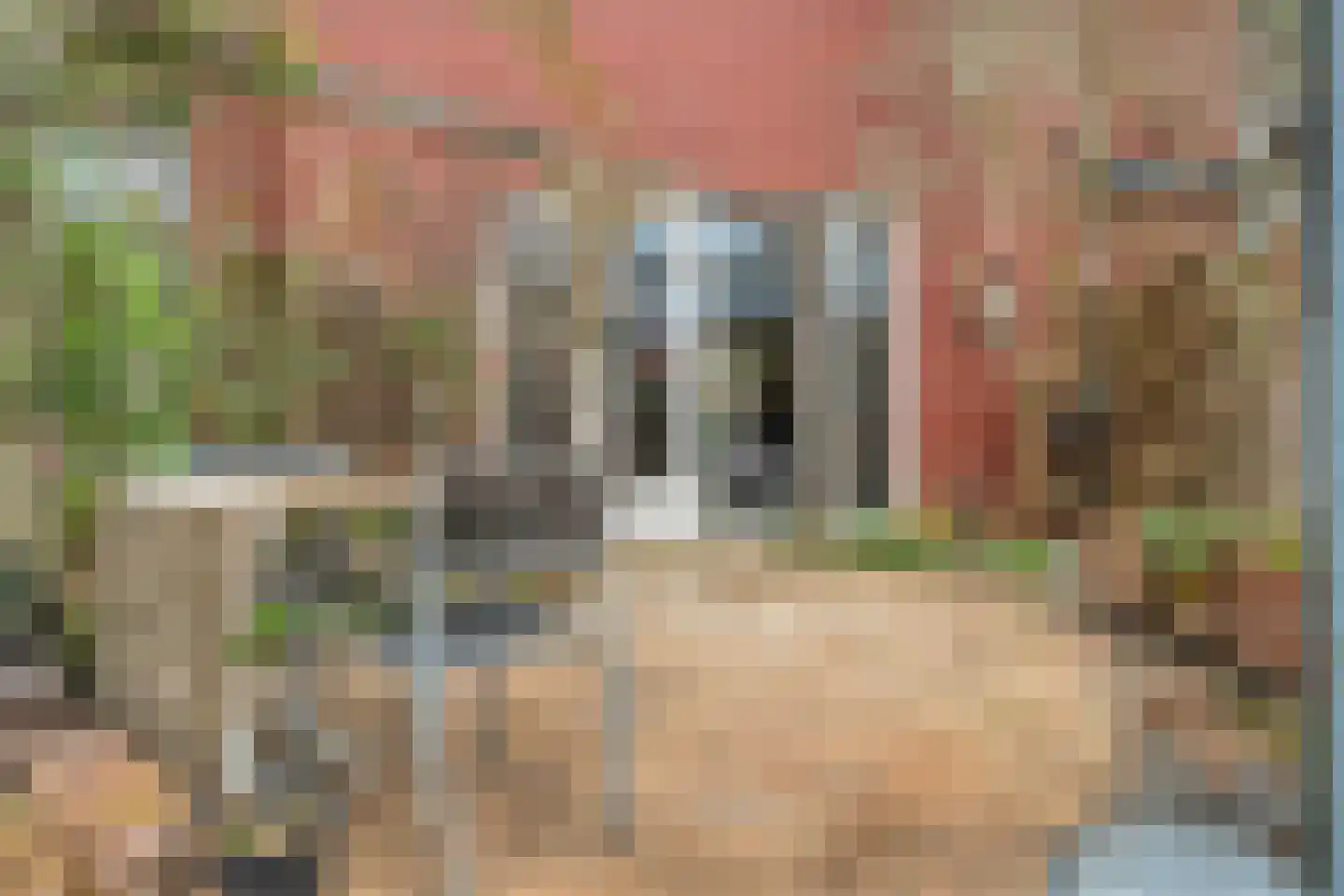 Emmastraat 23 Zwolle thumbnail 41