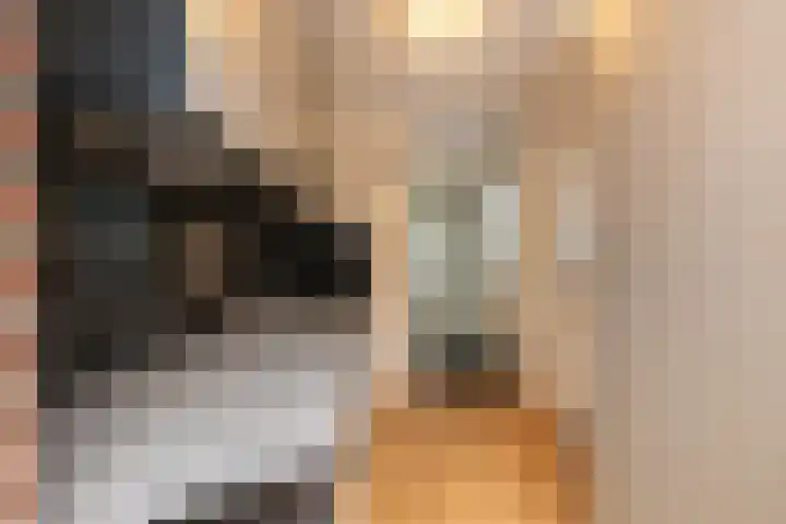 Emmastraat 24 De Lier thumbnail 11