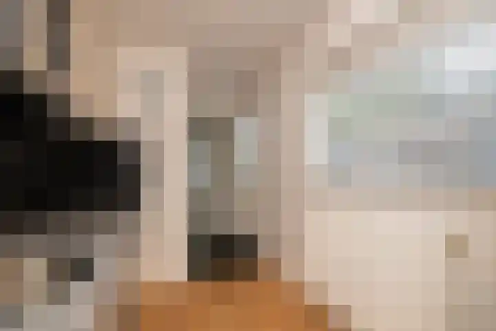 Emmastraat 24 De Lier thumbnail 12