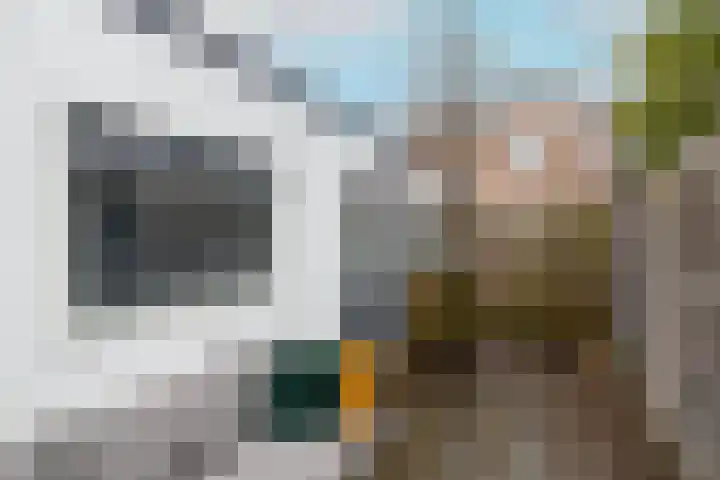 Emmastraat 24 De Lier thumbnail 28