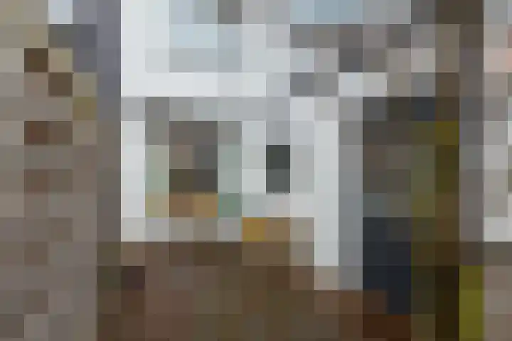 Emmastraat 24 De Lier thumbnail 4