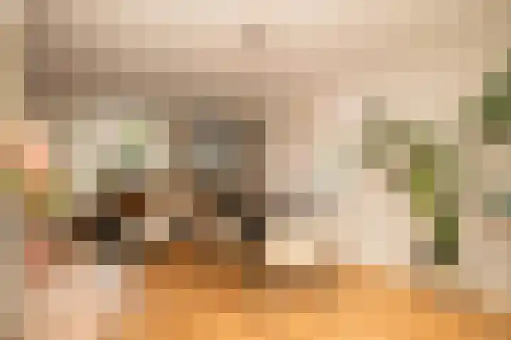 Emmastraat 24 De Lier thumbnail 5