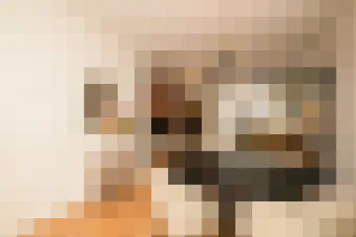 Emmastraat 24 De Lier thumbnail 6