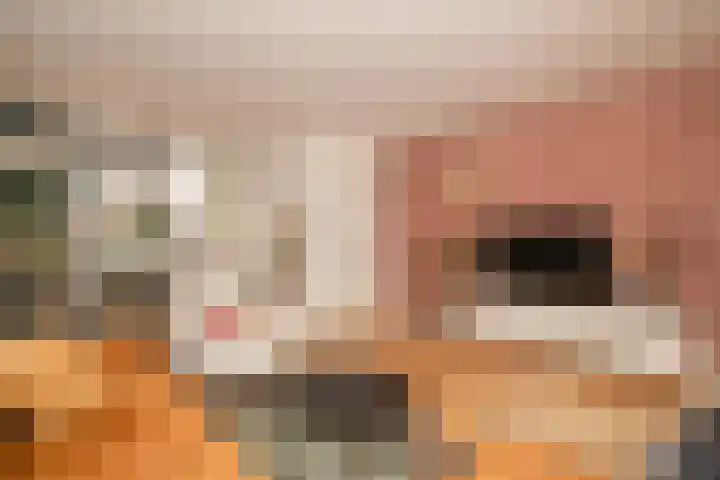 Emmastraat 24 De Lier thumbnail 8