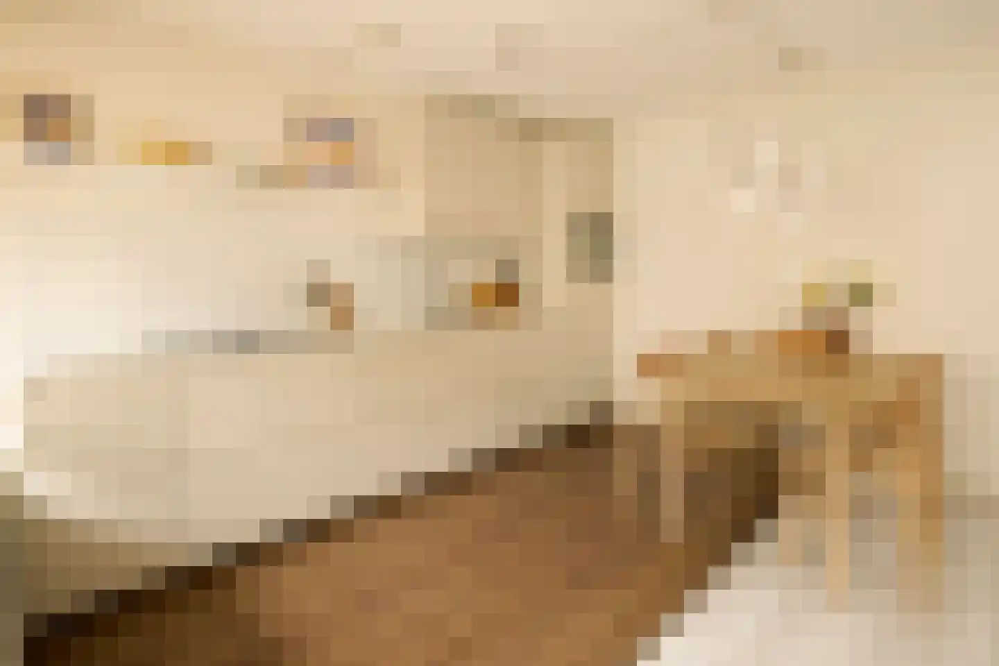 Emmastraat 26 Alkmaar thumbnail 16