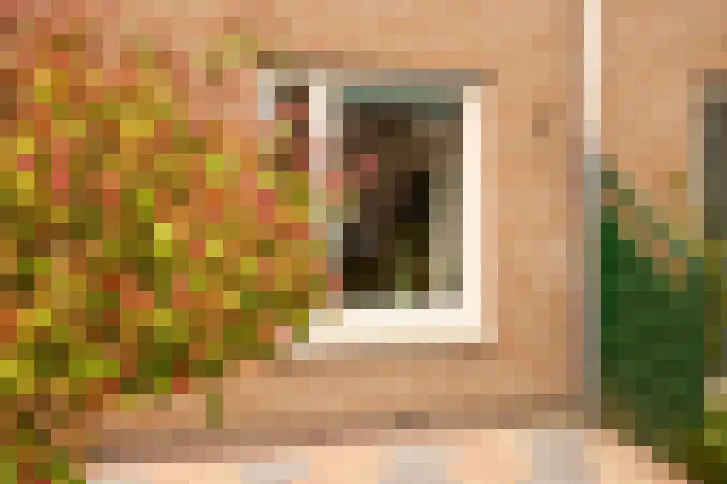 Emmastraat 26 Alkmaar thumbnail 35