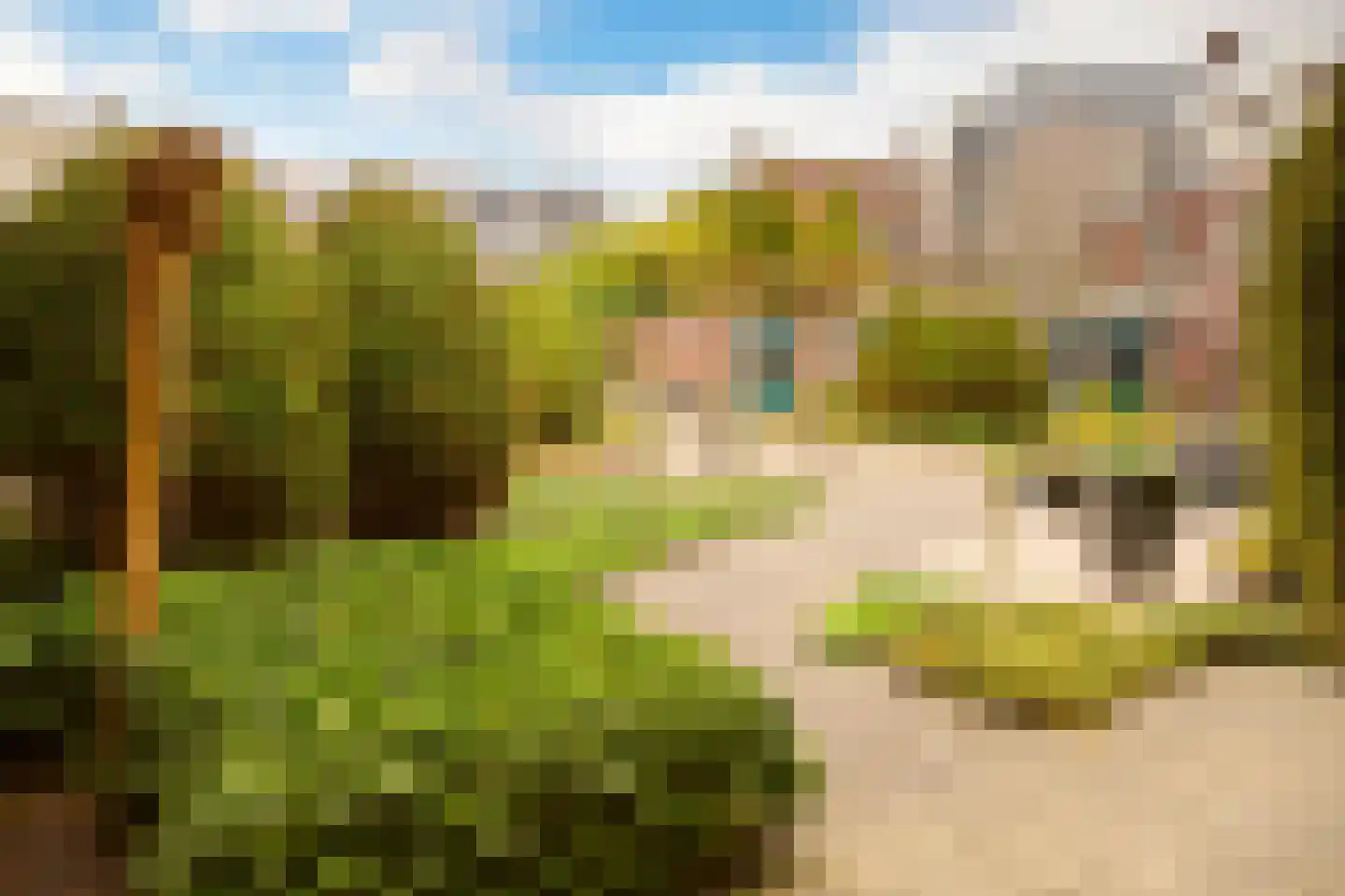 Emmastraat 26 Alkmaar thumbnail 36