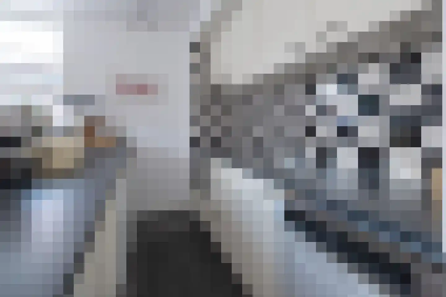 Emmastraat 26 Barneveld thumbnail 15