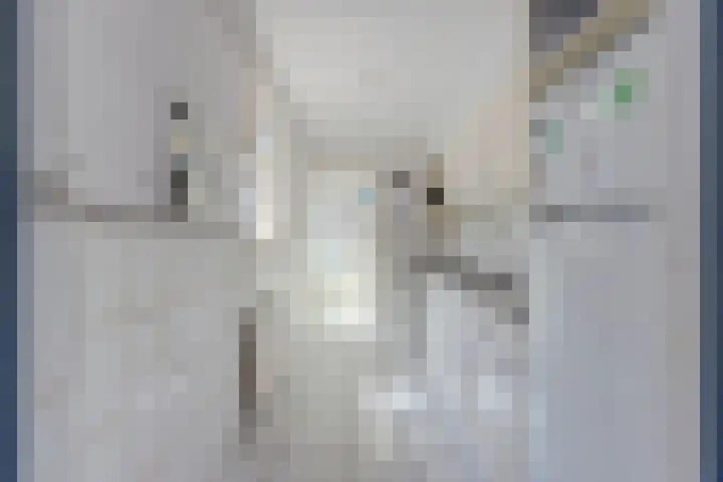 Emmastraat 26 De Lier thumbnail 6