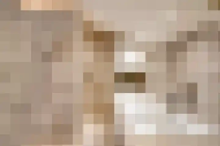 Emmastraat 29 Eijsden thumbnail 56