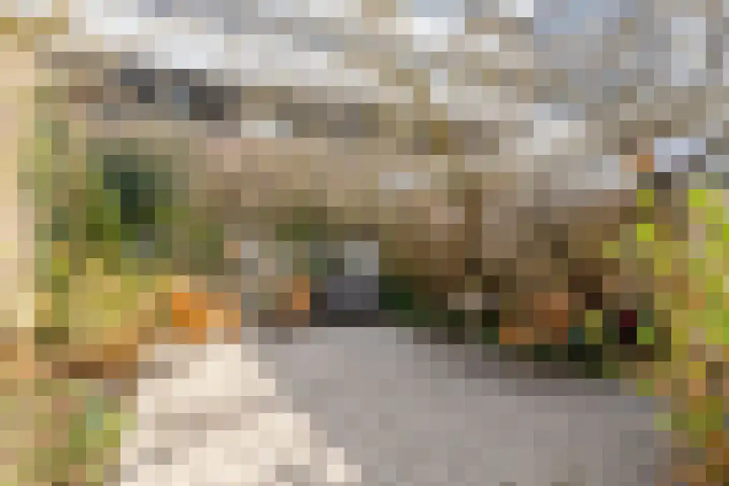 Emmastraat 29 Velp thumbnail 12