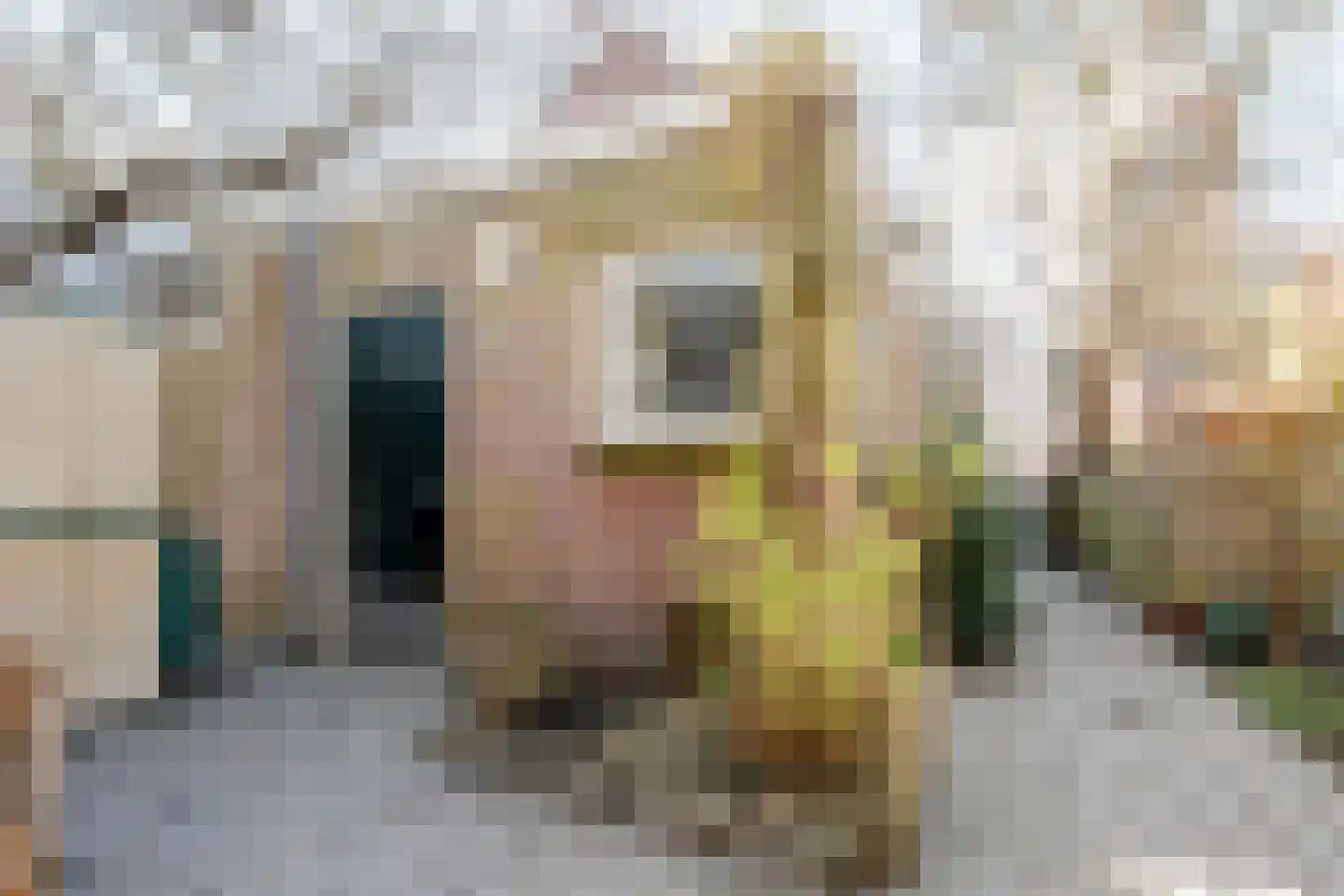 Emmastraat 29 Velp thumbnail 14