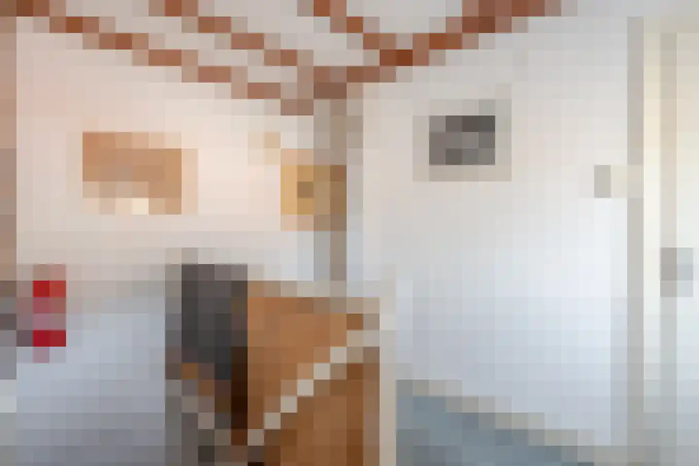 Emmastraat 29 Velp thumbnail 20