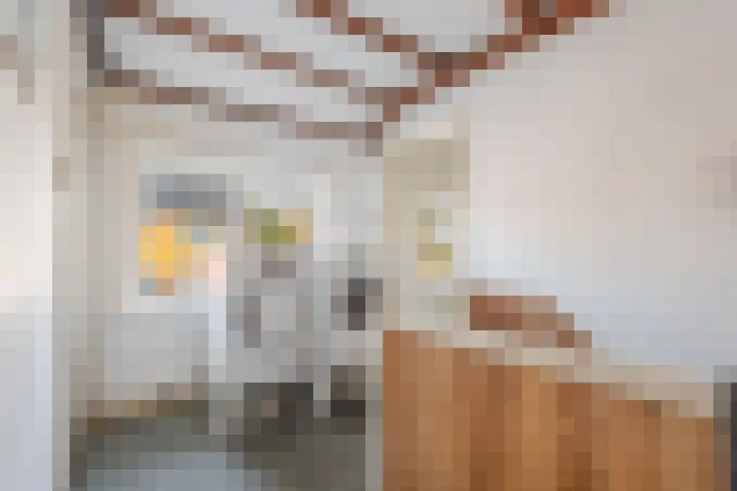 Emmastraat 29 Velp thumbnail 27