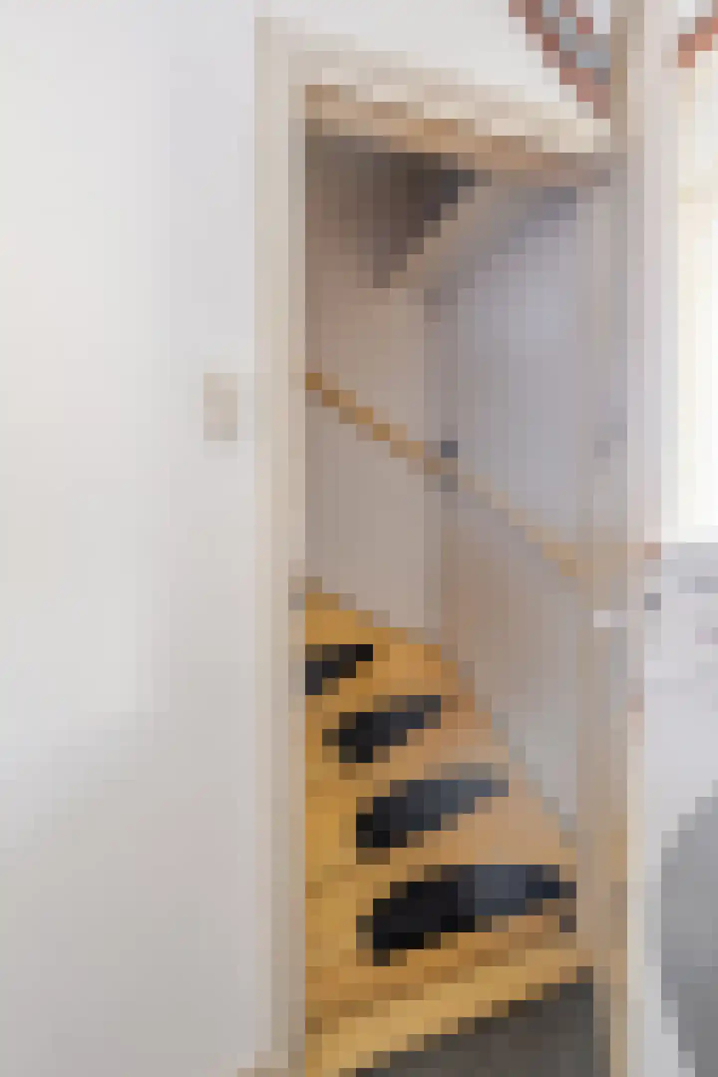 Emmastraat 29 Velp thumbnail 30