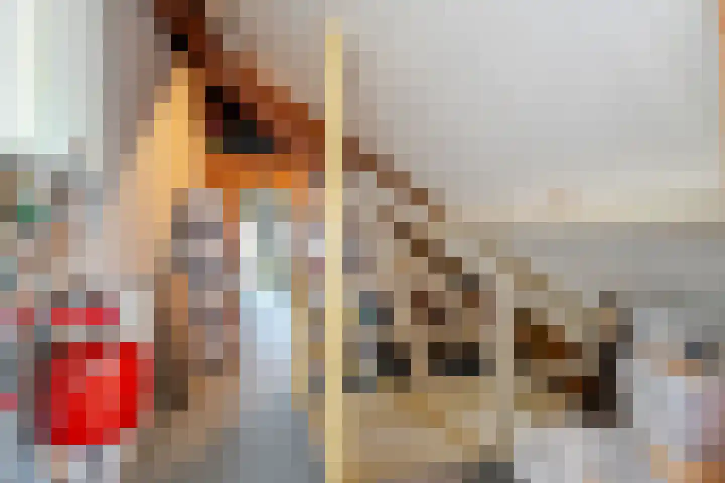 Emmastraat 29 Velp thumbnail 36