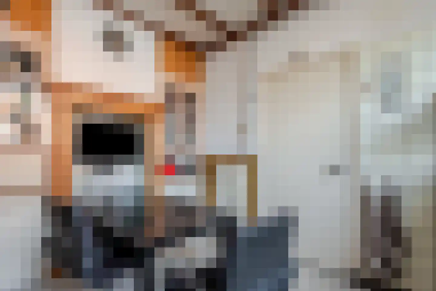Emmastraat 29 Velp thumbnail 9