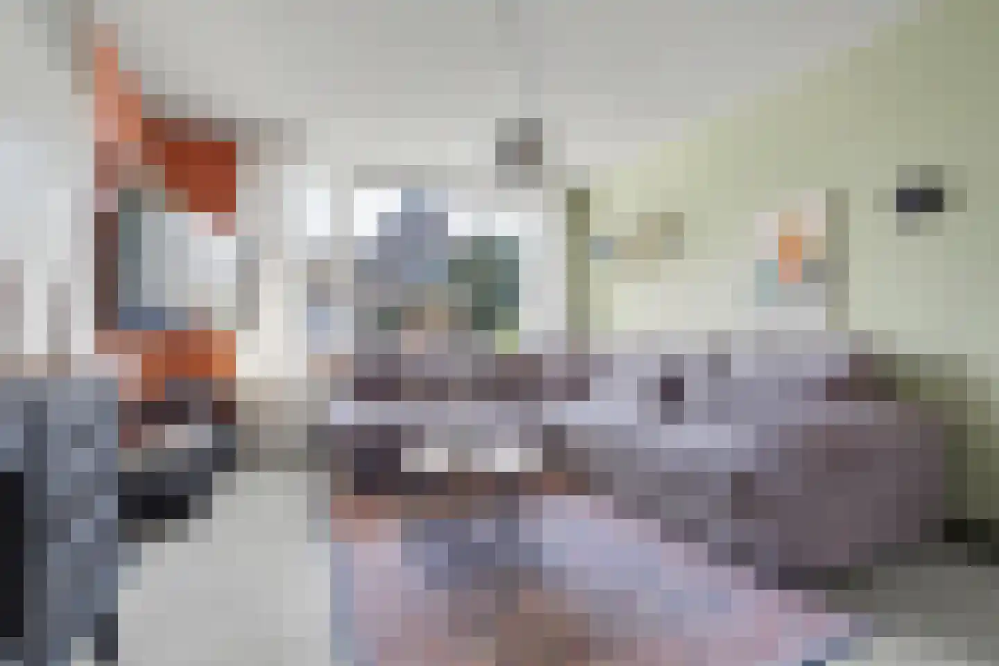 Emmastraat 3 Kortgene thumbnail 9