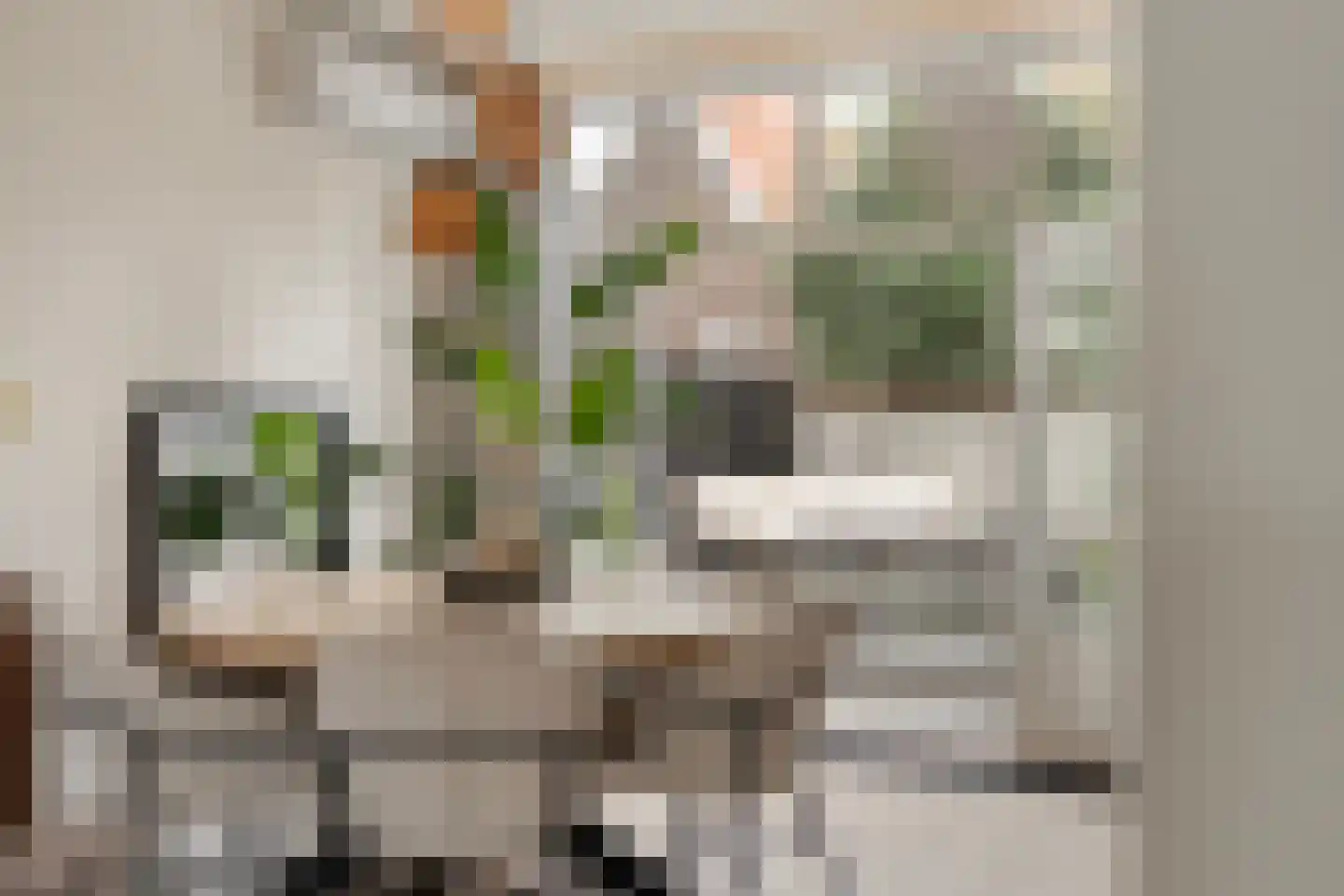 Emmastraat 3 Meppel thumbnail 11