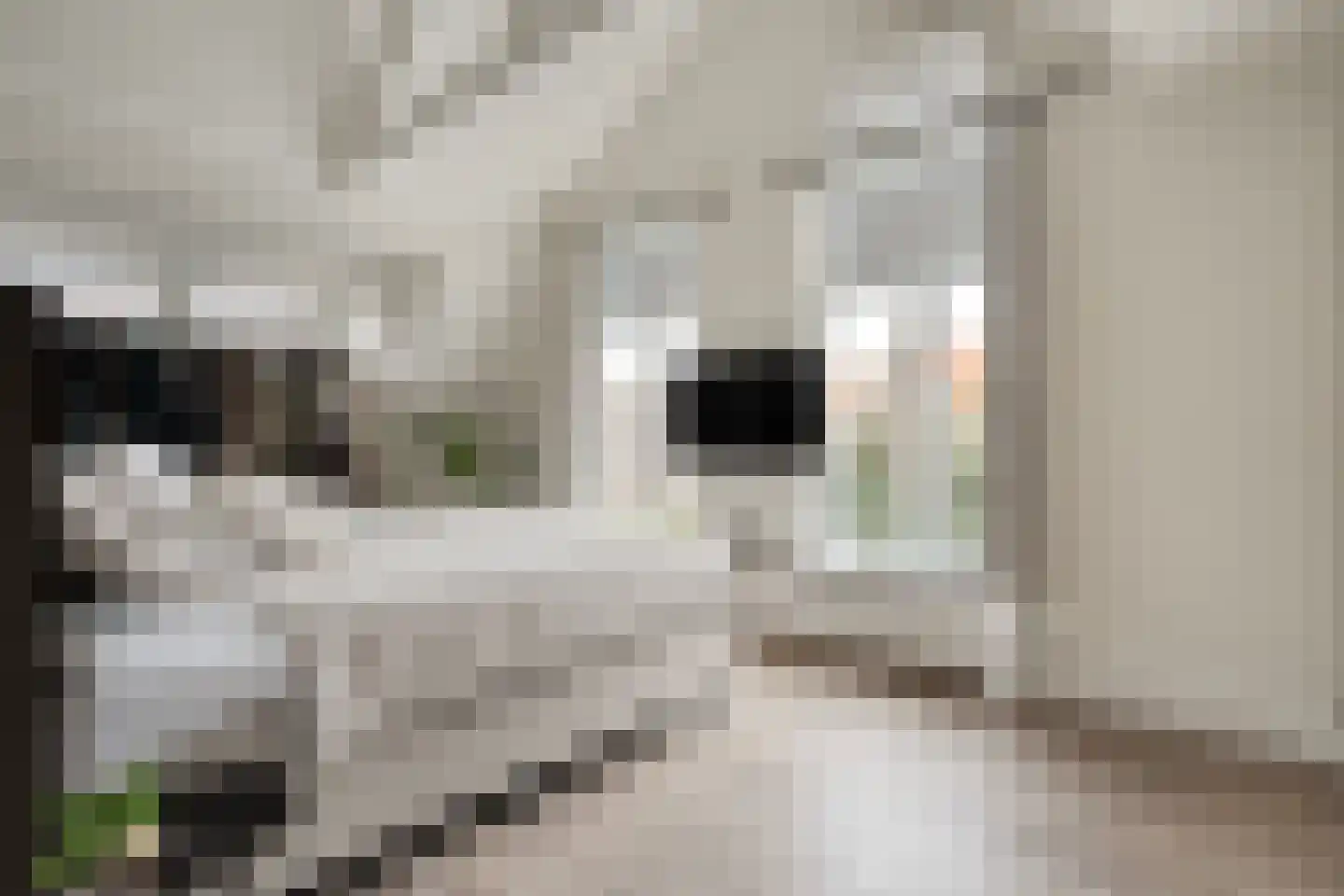 Emmastraat 3 Meppel thumbnail 25