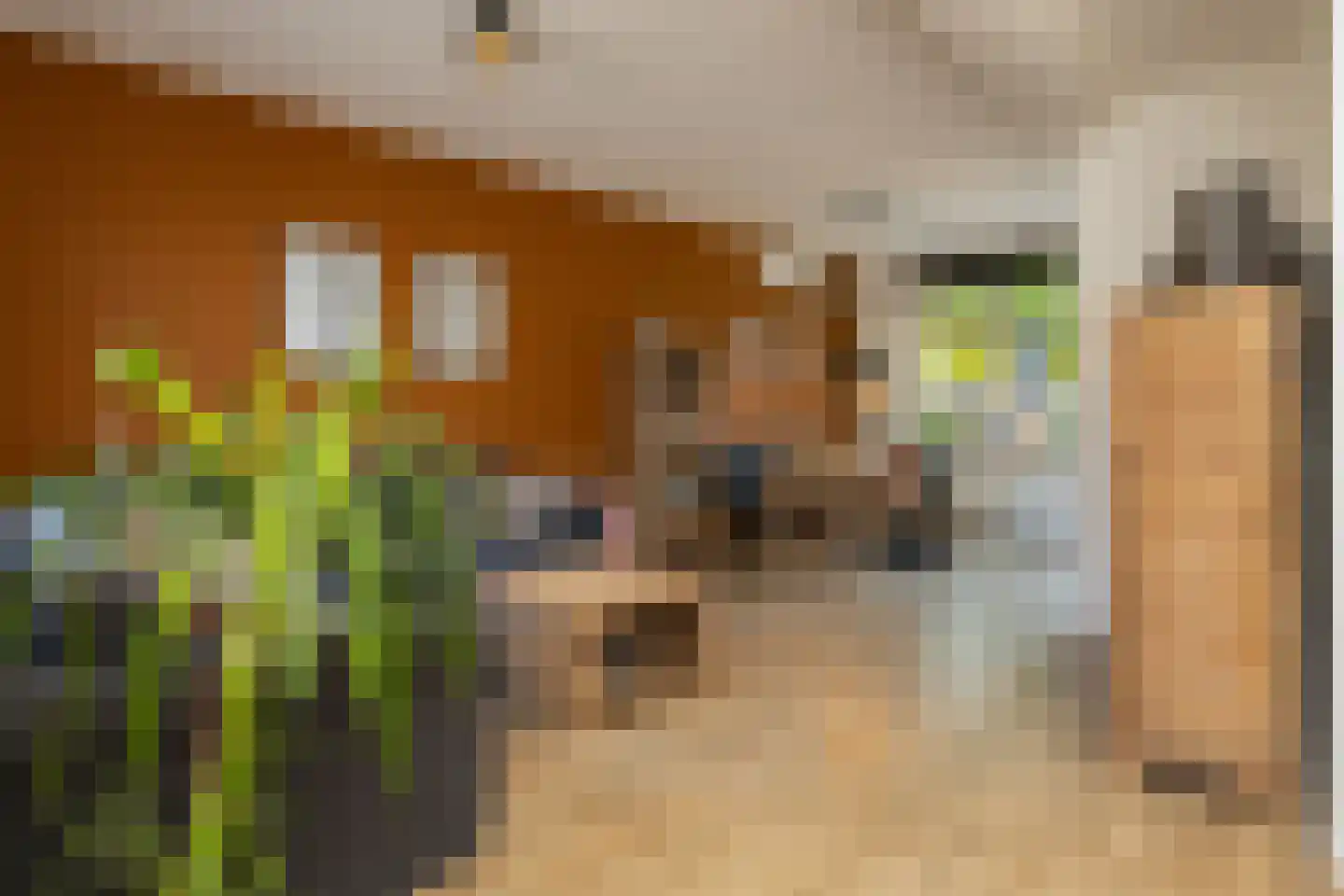 Emmastraat 3 Noordwijkerhout thumbnail 10
