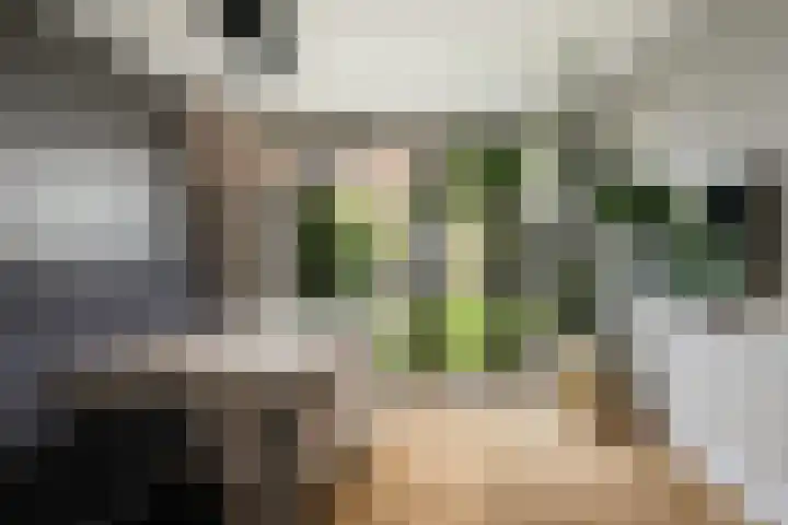 Emmastraat 3 Oud-Beijerland thumbnail 14
