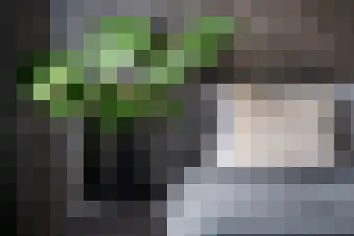 Emmastraat 3 Oud-Beijerland thumbnail 24