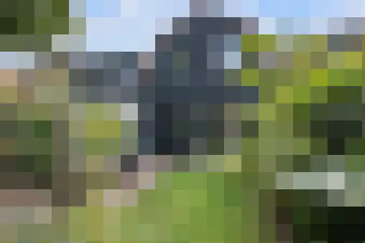 Emmastraat 3 Oud-Beijerland thumbnail 39