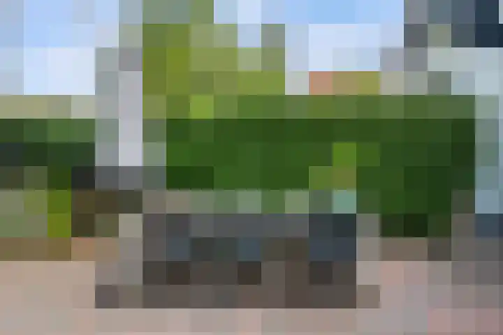 Emmastraat 3 Oud-Beijerland thumbnail 40