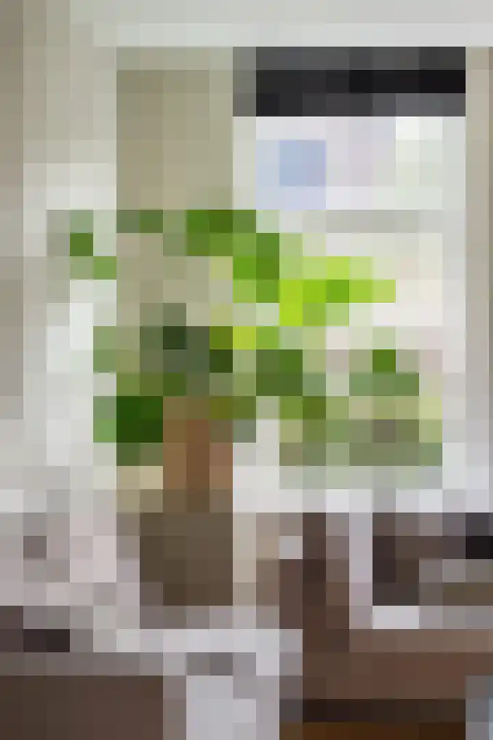 Emmastraat 3 Oud-Beijerland thumbnail 48
