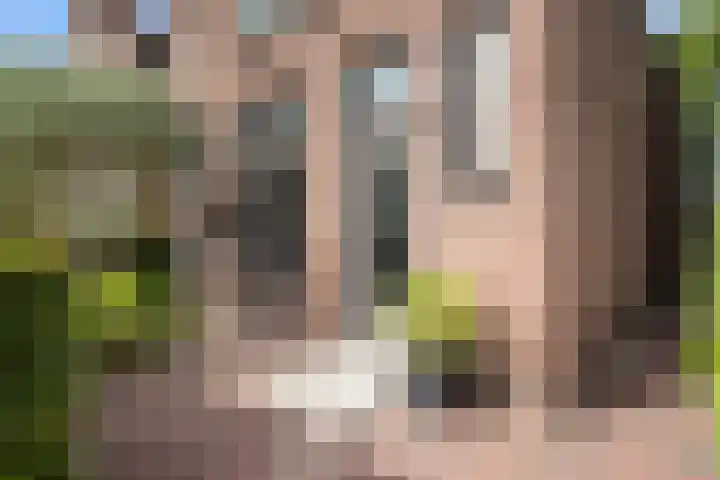 Emmastraat 3 Oud-Beijerland thumbnail 5